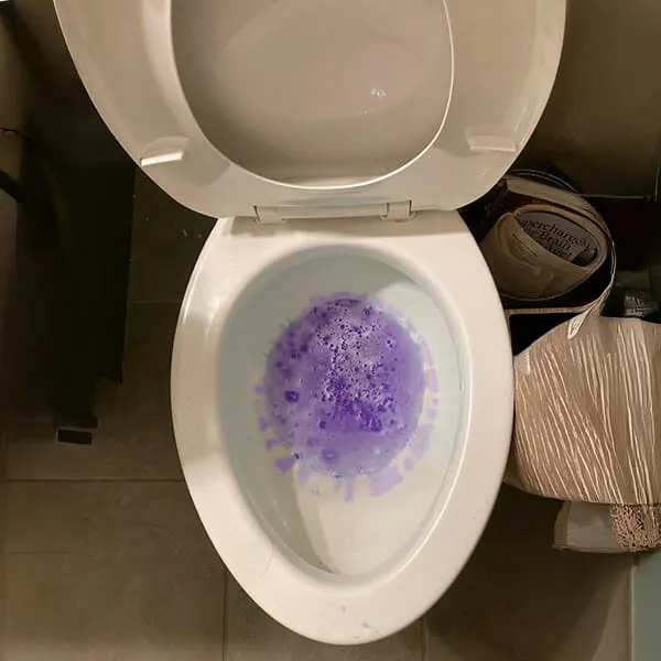 DailyNews Toilettenreiniger